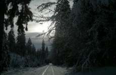 zimní cesta 031